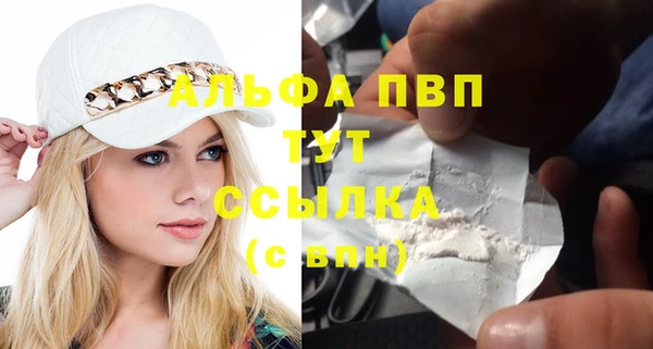 гашик Балахна
