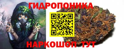 стаф Балаково