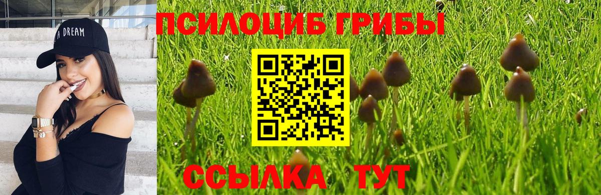 Псилоцибиновые грибы ЛСД Верхняя Салда